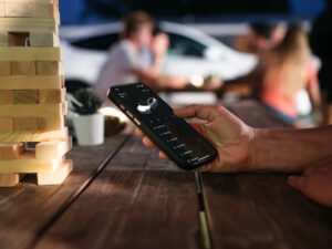 Tesla Model 3 Standard