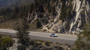 Tesla Model Y Standard